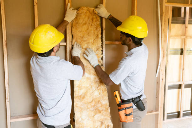 Best Local Insulation Services  in Tidmore Bend, AL